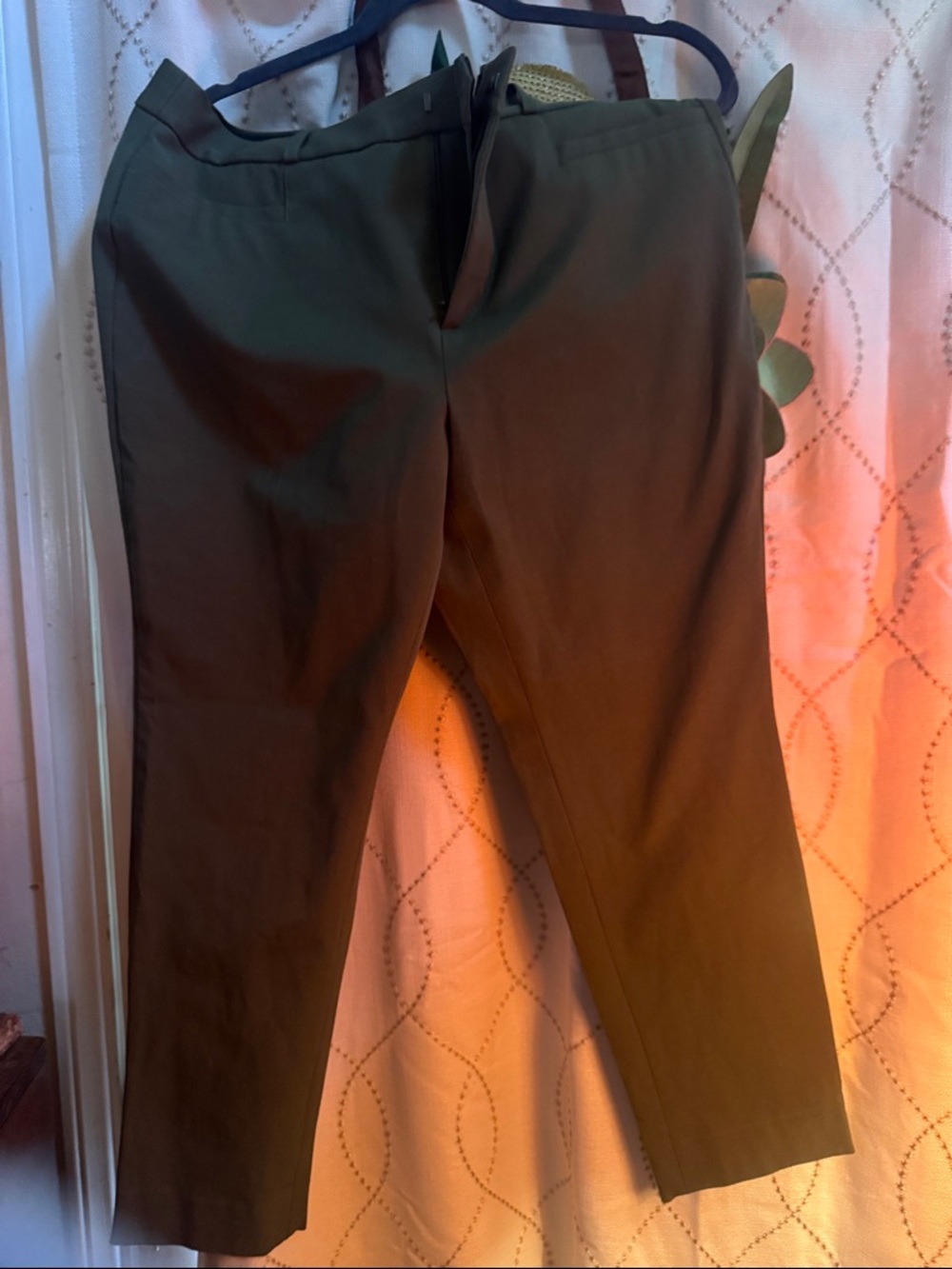 Banana Republic Olive Green Chinos